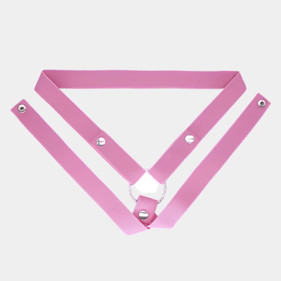 Superior Chastity Control Belt at Tickle & Twist