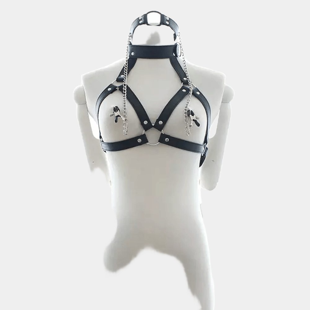 Lady's Restraining Set with Ring Gag at Tickle & Twist