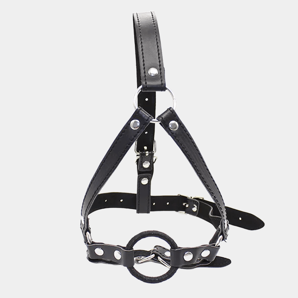 The Gimp's Bridle at Tickle & Twist
