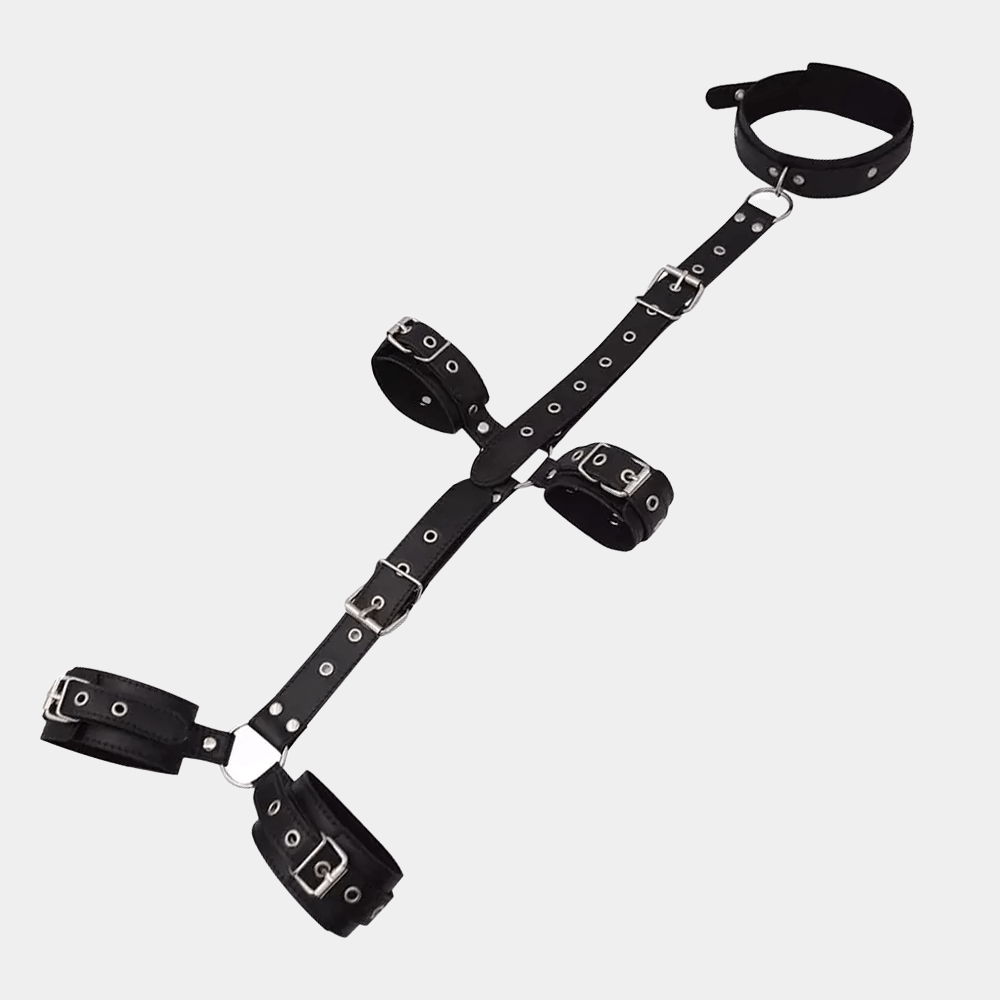 Complete Restraint System at Tickle & Twist