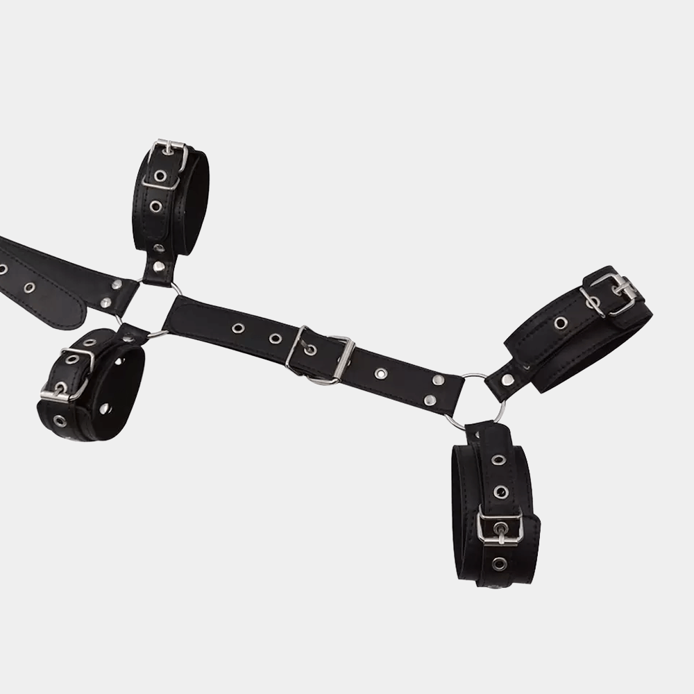 Complete Restraint System at Tickle & Twist