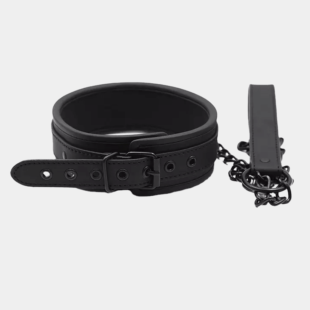 Collar & Leash at Tickle & Twist