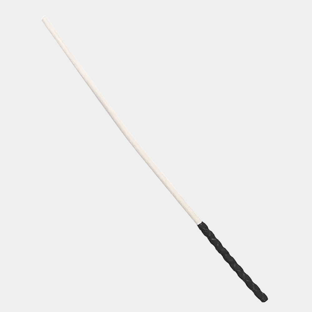 Corporal Punishment Cane at Tickle & Twist