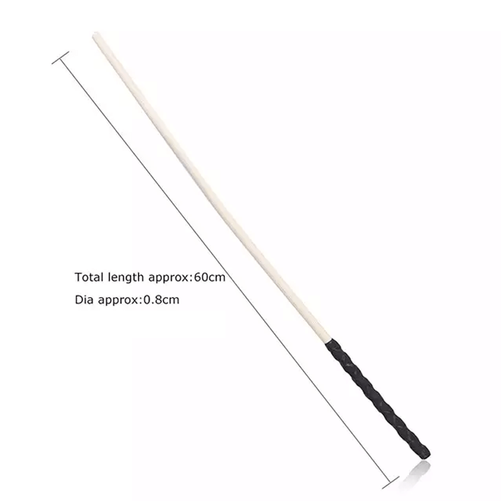 Corporal Punishment Cane at Tickle & Twist
