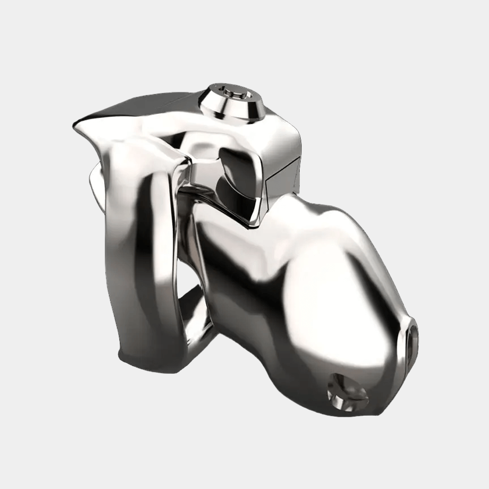 Top Lock Steel Chastity Cage at Tickle & Twist
