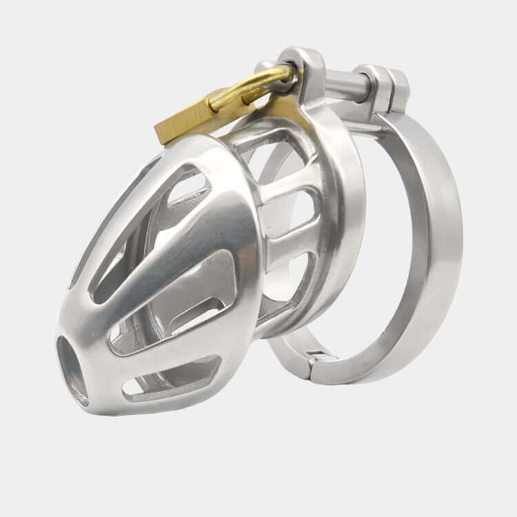 Lockup Steel Cock Cage at Tickle & Twist