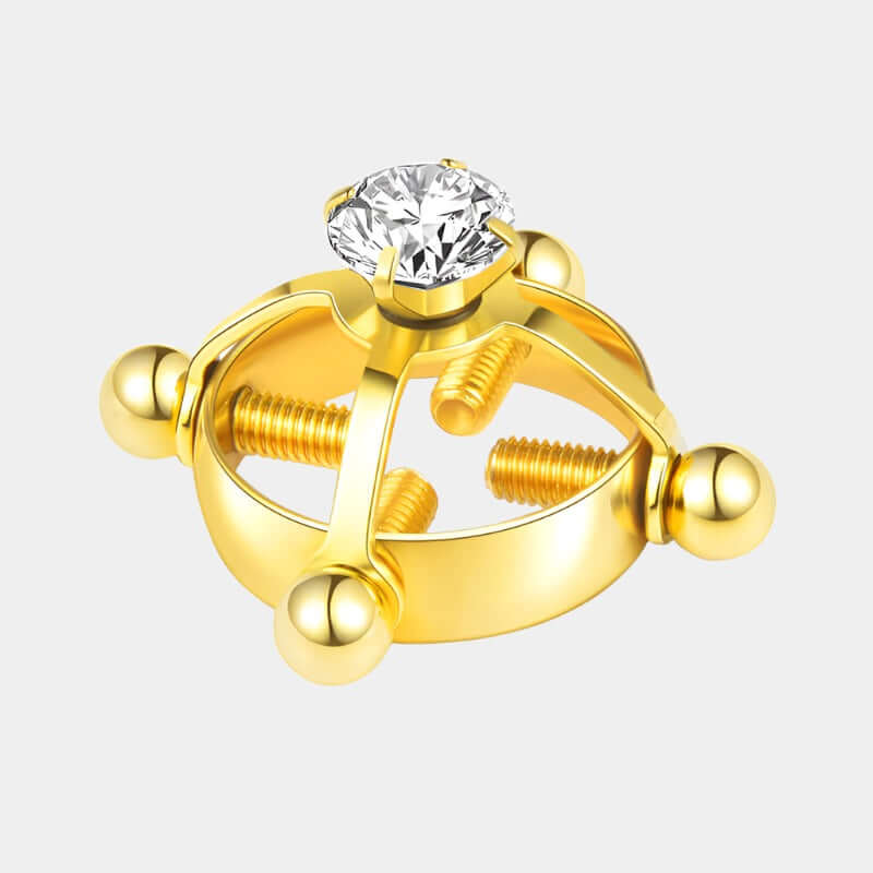 Diamonte Extreme Clamp Gold Colour at Tickle & Twist