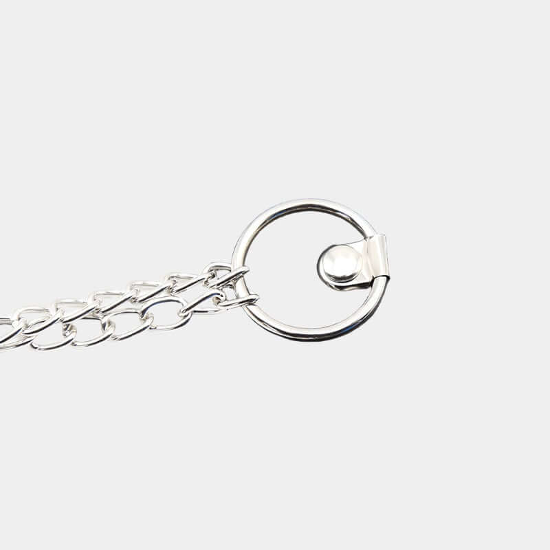 Adjustable Pinch Clamps with Leather Collar and Lock at Tickle & Twist