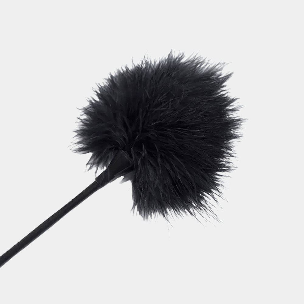 WhisperLite Feather Duster