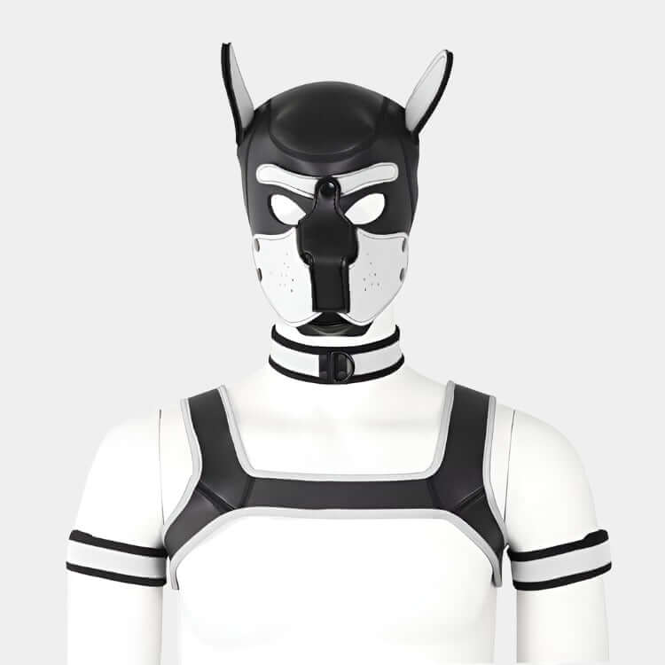 Alpha Pup Hood Set White & Onyx - Pup Hood UK