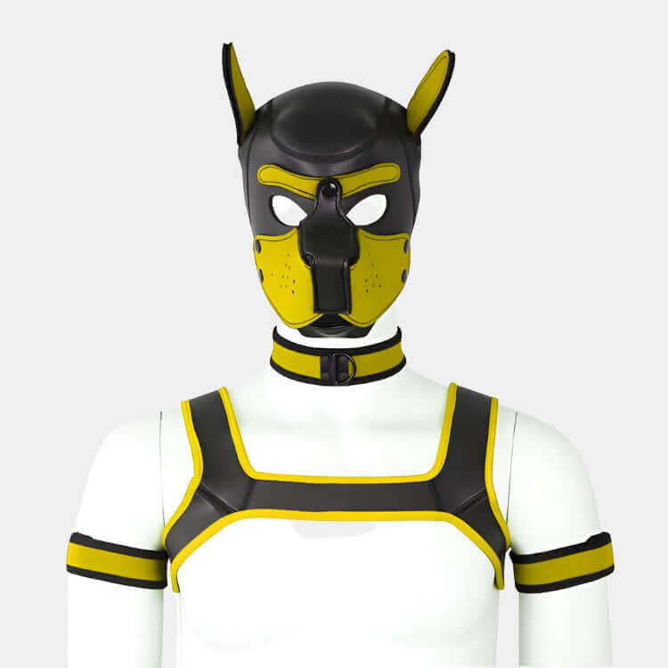 Alpha Pup Hood Set Yellow & Onyx - Pup Hood UK