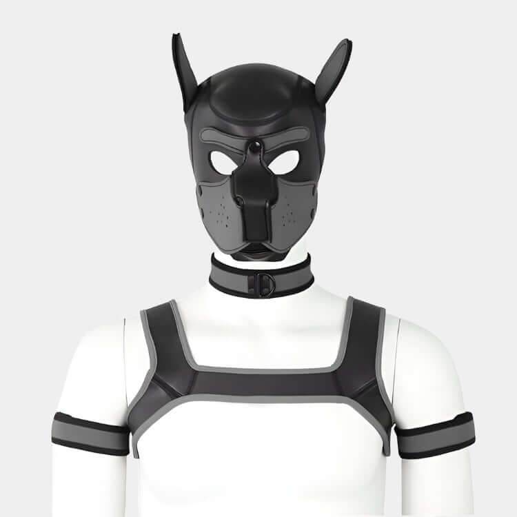 Alpha Pup Hood Set Grey & Onyx - Pup Hood UK