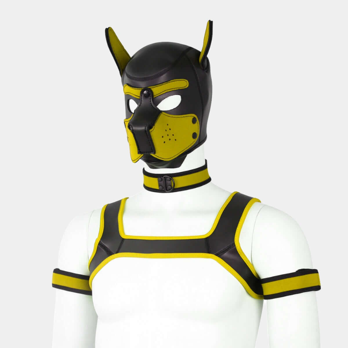 Alpha Pup Hood Set Yellow & Onyx - Pup Hood UK