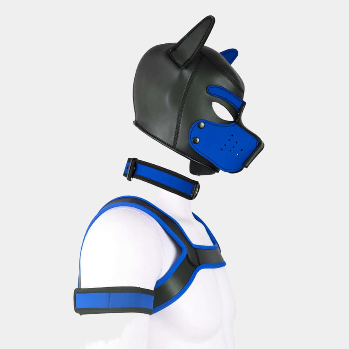 Alpha Pup Hood Set Blue & Onyx - Pup Hood UK