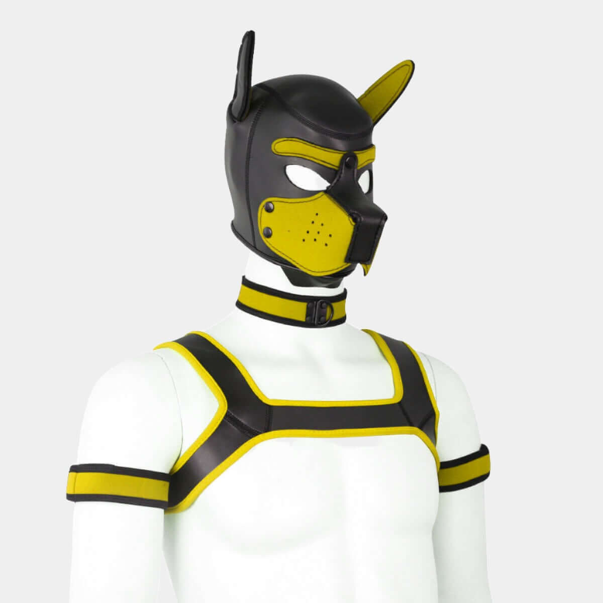 Alpha Pup Hood Set Yellow & Onyx - Pup Hood UK