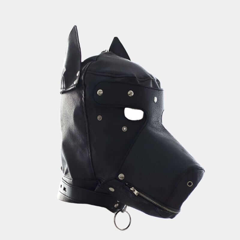 GAMMA PUP HOOD - Pup Hood UK